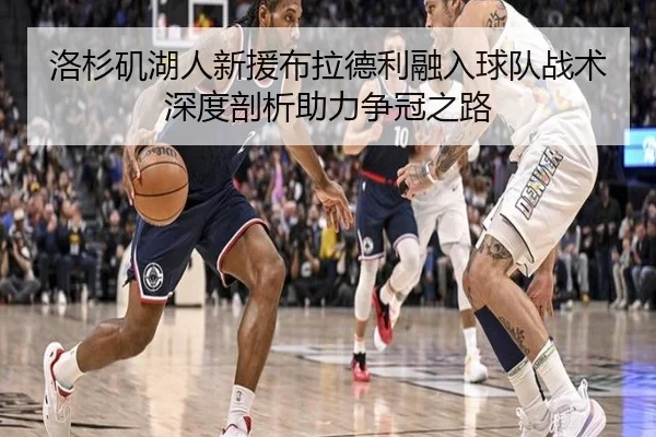 洛杉矶湖人新援布拉德利融入球队战术深度剖析助力争冠之路